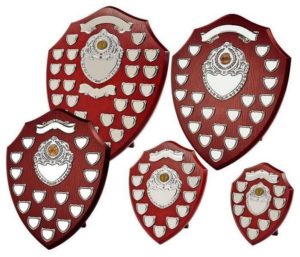 Awards, trophies, plaques and more 5